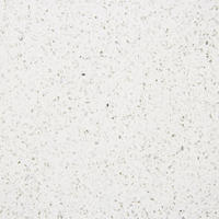 White Mirror Quartz Kitchen Top Snow Moon Silver Sand PIB2379